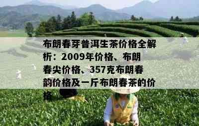 布朗春芽普洱生茶价格全解析：2009年价格、布朗春尖价格、357克布朗春韵价格及一斤布朗春茶的价格