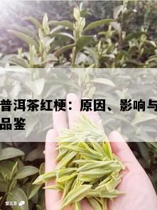 普洱茶红梗：原因、影响与品鉴