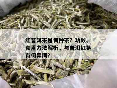 红普洱茶是何种茶？功效、食用方法解析，与普洱红茶有何异同？