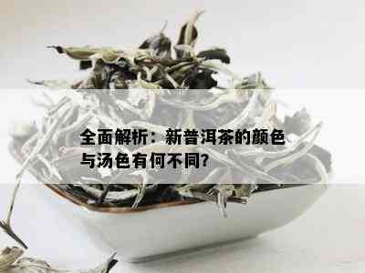 全面解析：新普洱茶的颜色与汤色有何不同？