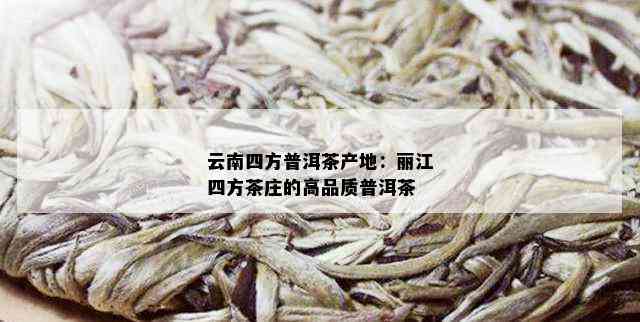 云南四方普洱茶产地：丽江四方茶庄的高品质普洱茶