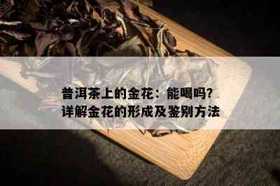 普洱茶上的金花：能喝吗？详解金花的形成及鉴别方法