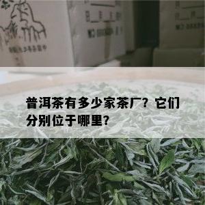 普洱茶有多少家茶厂？它们分别位于哪里？