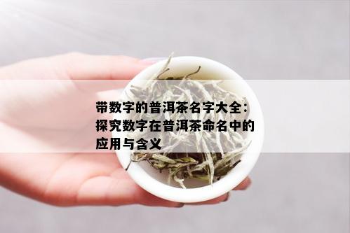 带数字的普洱茶名字大全：探究数字在普洱茶命名中的应用与含义