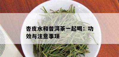 杏皮水和普洱茶一起喝：功效与注意事项