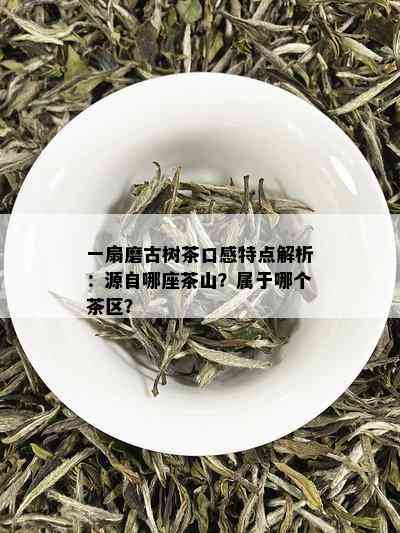 一扇磨古树茶口感特点解析：源自哪座茶山？属于哪个茶区？