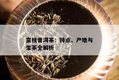 蛮枝普洱茶：特点、产地与生茶全解析