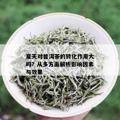 夏天对普洱茶的转化作用大吗？从多方面解析影响因素与效果