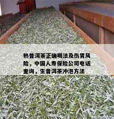 熟普洱茶正确喝法及伤胃风险，中国人寿保险公司电话查询，生普洱茶冲泡方法