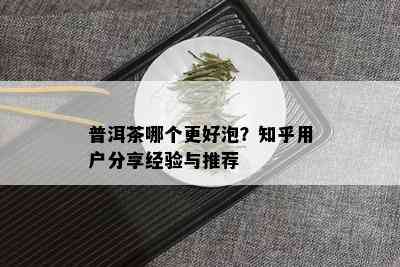 普洱茶哪个更好泡？知乎用户分享经验与推荐