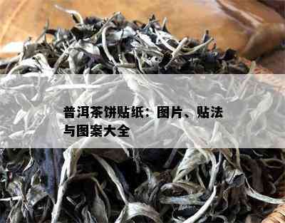 普洱茶饼贴纸：图片、贴法与图案大全