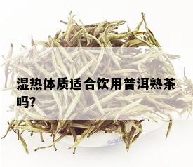 湿热体质适合饮用普洱熟茶吗？