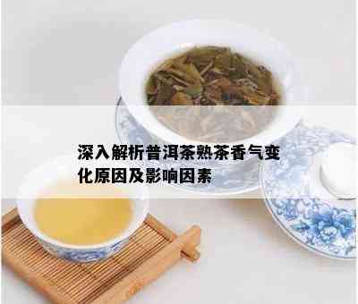 深入解析普洱茶熟茶香气变化原因及影响因素