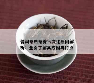 普洱茶熟茶香气变化原因解析：全面了解其成因与特点