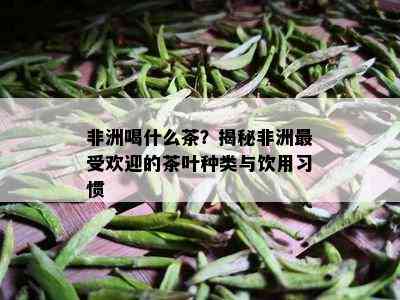 非洲喝什么茶？揭秘非洲更受欢迎的茶叶种类与饮用习惯