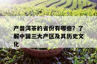 产普洱茶的省份有哪些？了解中国三大产区及其历史文化