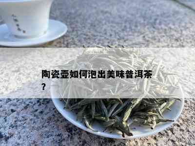 陶瓷壶如何泡出美味普洱茶？