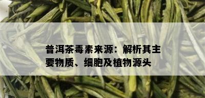 普洱茶素来源：解析其主要物质、细胞及植物源头