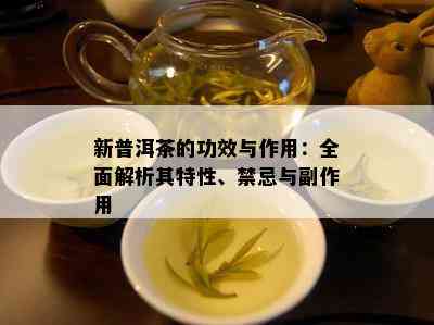 新普洱茶的功效与作用：全面解析其特性、禁忌与副作用