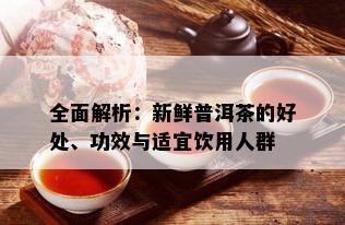 全面解析：新鲜普洱茶的好处、功效与适宜饮用人群