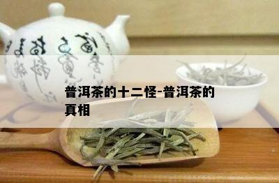 普洱茶的十二怪-普洱茶的真相