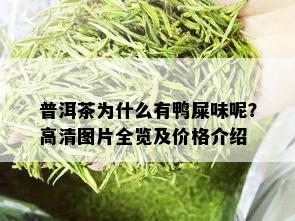 普洱茶为什么有鸭屎味呢？高清图片全览及价格介绍