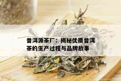 普洱源茶厂：揭秘优质普洱茶的生产过程与品牌故事