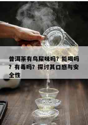 普洱茶有鸟屎味吗？能喝吗？有吗？探讨其口感与安全性