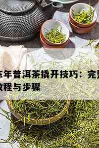 陈年普洱茶撬开技巧：完整教程与步骤