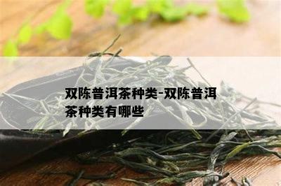 双陈普洱茶种类-双陈普洱茶种类有哪些