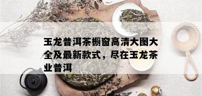 玉龙普洱茶橱窗高清大图大全及最新款式，尽在玉龙茶业普洱