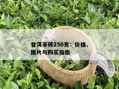 普洱茶砖250克：价格、图片与购买指南