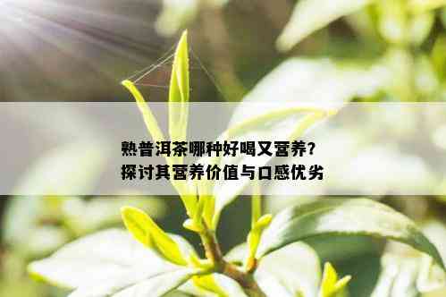 熟普洱茶哪种好喝又营养？探讨其营养价值与口感优劣