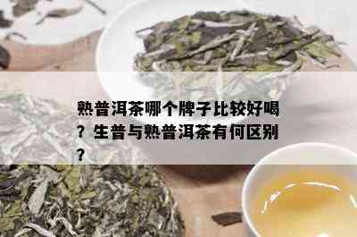 熟普洱茶哪个牌子比较好喝？生普与熟普洱茶有何区别？