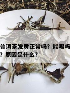 普洱茶发黄正常吗？能喝吗？原因是什么？