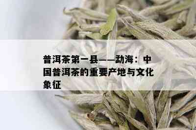 普洱茶之一县——勐海：中国普洱茶的重要产地与文化象征