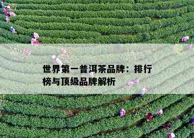 世界之一普洱茶品牌：排行榜与顶级品牌解析