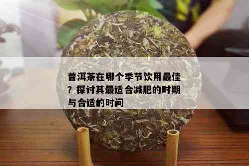 普洱茶在哪个季节饮用更佳？探讨其最适合减肥的时期与合适的时间