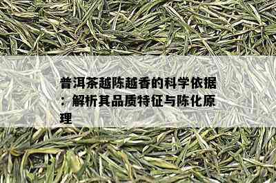 普洱茶越陈越香的科学依据：解析其品质特征与陈化原理