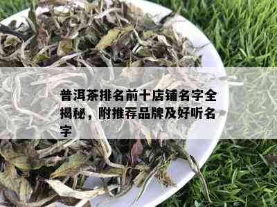 普洱茶排名前十店铺名字全揭秘，附推荐品牌及好听名字