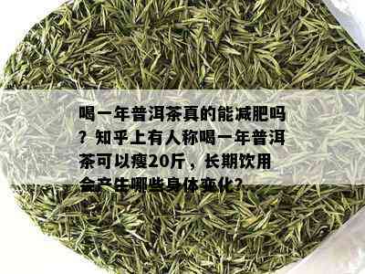 喝一年普洱茶真的能减肥吗？知乎上有人称喝一年普洱茶可以瘦20斤，长期饮用会产生哪些身体变化？