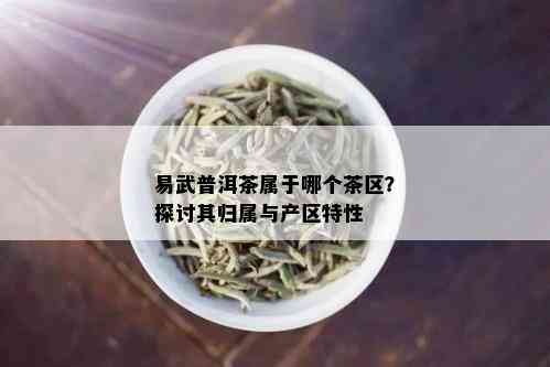 易武普洱茶属于哪个茶区？探讨其归属与产区特性