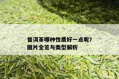 普洱茶哪种性质好一点呢？图片全览与类型解析