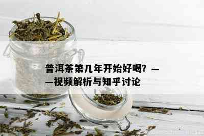 普洱茶第几年开始好喝？——视频解析与知乎讨论