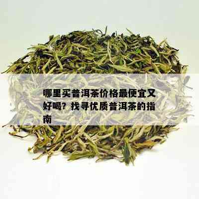 哪里买普洱茶价格更便宜又好喝？找寻优质普洱茶的指南