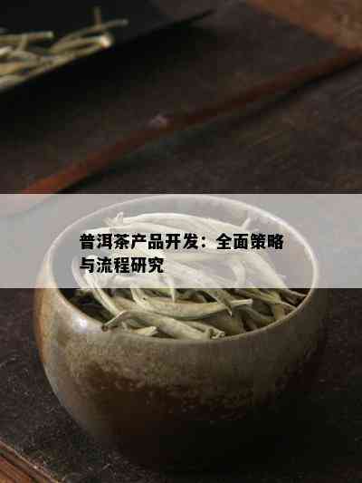 普洱茶产品开发：全面策略与流程研究