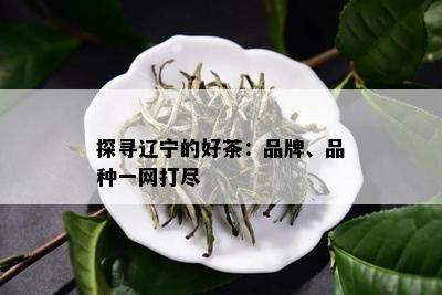 探寻辽宁的好茶：品牌、品种一网打尽