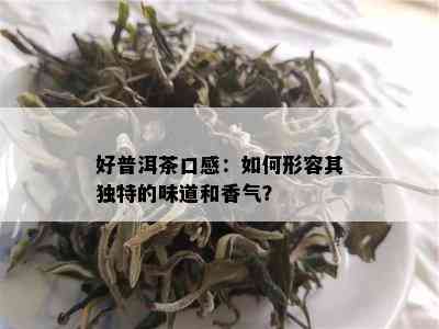 好普洱茶口感：如何形容其独特的味道和香气？