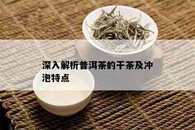 深入解析普洱茶的干茶及冲泡特点