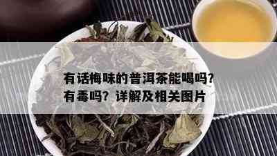 有话梅味的普洱茶能喝吗？有吗？详解及相关图片